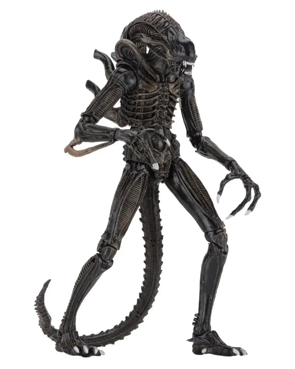 NECA фигурка "чужой" инопланетный воин 1986 Edition Alien + Worm набор яиц для массажа