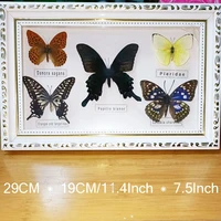 11 4inch beautiful butterfly specimen home furnishings butterfly specimen photo frame artwork living room decoration gift giving