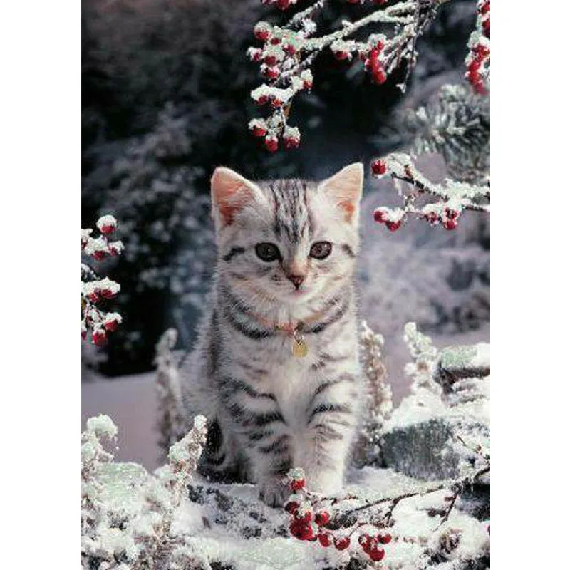 5d алмазная живопись полный круг кот стразы животное картина вышивка Алмазная