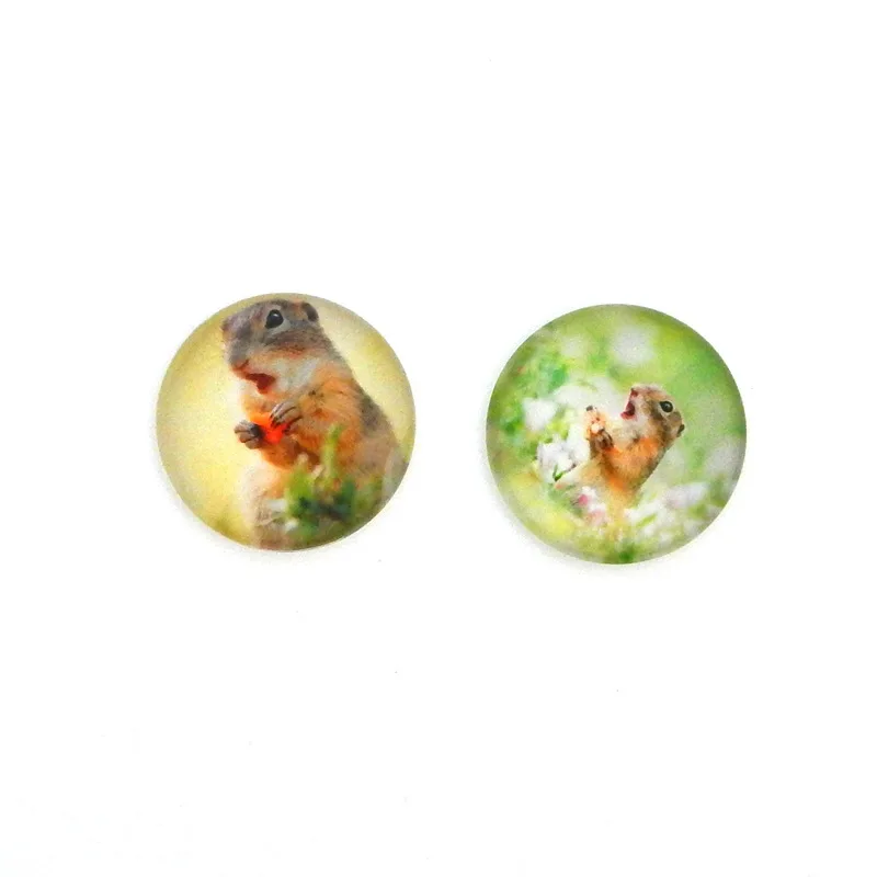 Qiyue Магнитный Хрустальный холодильник с изображением белки животных липкие