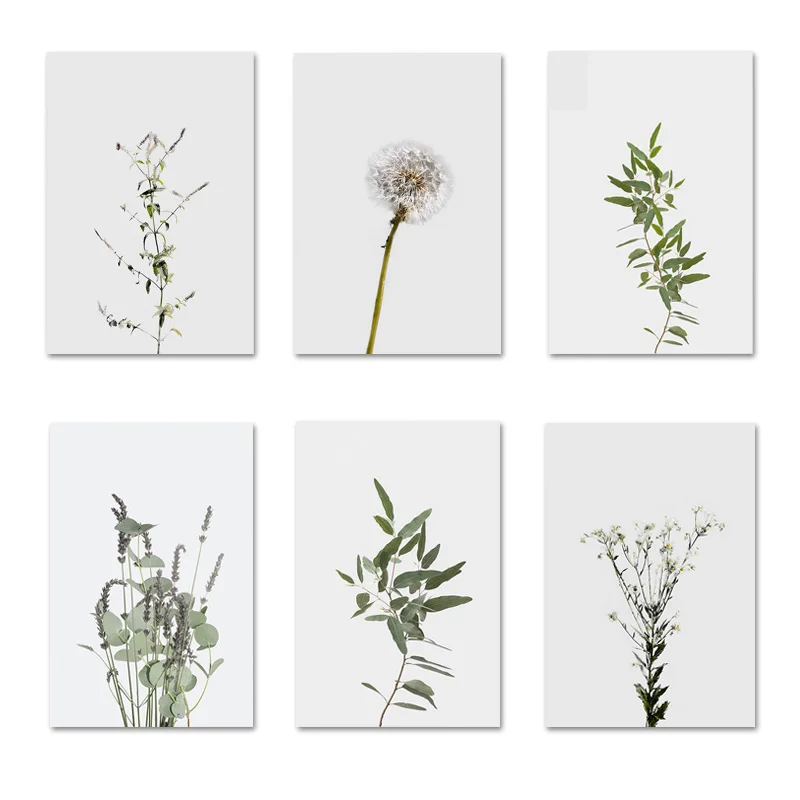 Настенный художественный холст Одуванчик зеленое растение эвкалипт