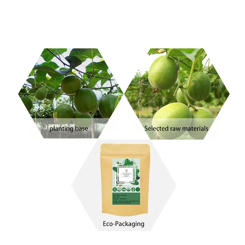 Высококачественный 100% порошок экстракта фруктов монаха Luo Han Guo Mogroside натуральный