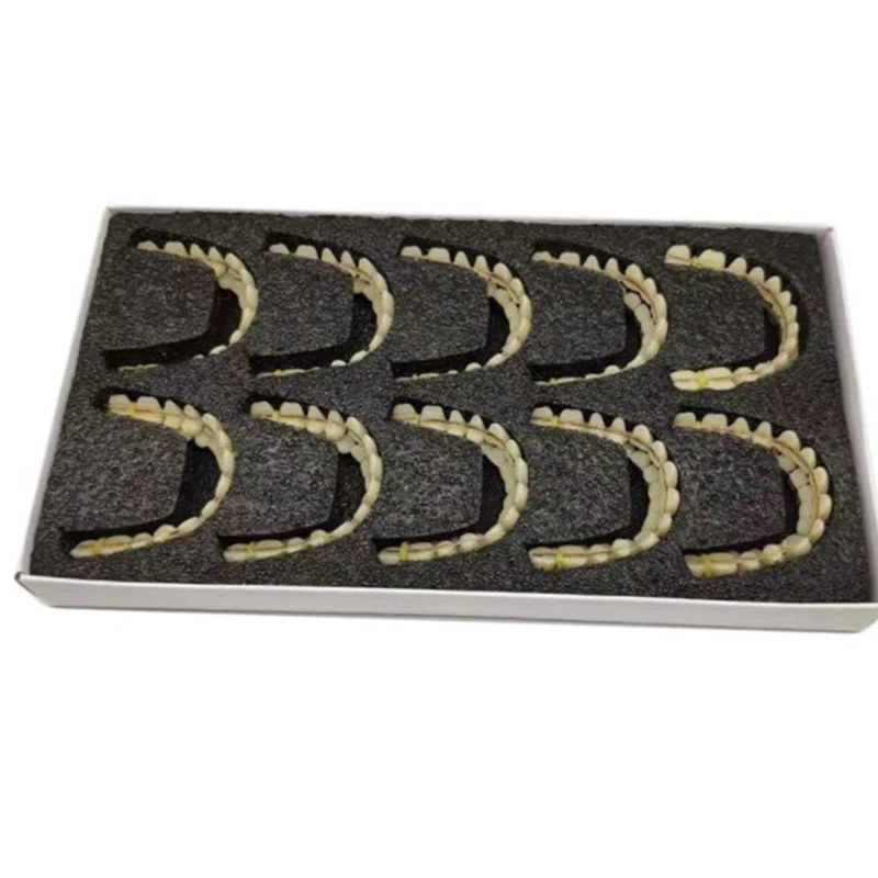 28 шт. накладные зубы из смолы для отбеливания зубов |