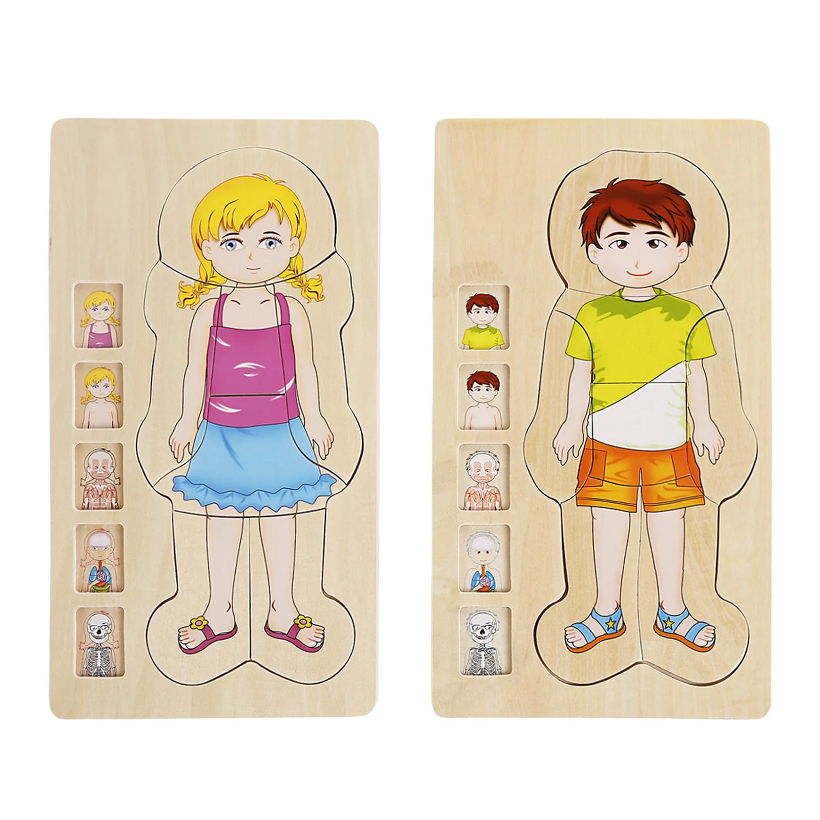 

Children Early Intelligent Learning Educational Body Cognition Baby Puzzles Wooden Human Body Puzzles Multi-Layer Tructure Toys