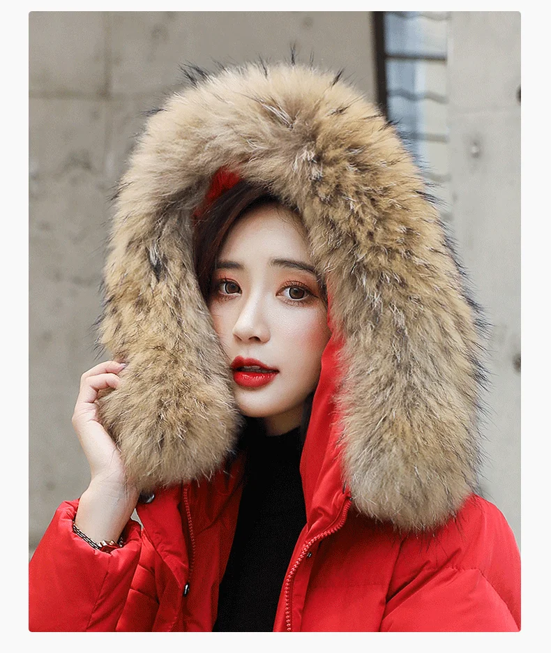 

Down Coats