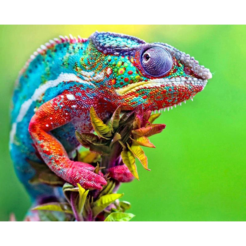 

5D DIY Diamond Painting Colorful Chameleon Full Drill Embroidery Cross Stitch Mosaic Craft Kits Home Decor Christmas Kids Gift