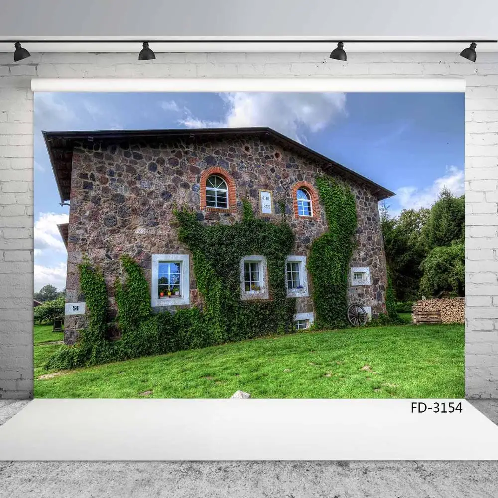 Каменный дом Луг зеленая трава дерево фон для фотосъемки свадьба ребенок