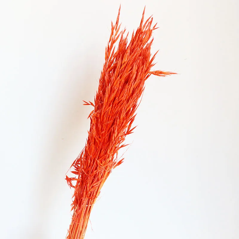 

Amazon Hot Selling Preserved Dried Flower Decorative Real Natural Wheat Oats For Home Hotel Party Table Centerpieces Daily Decor