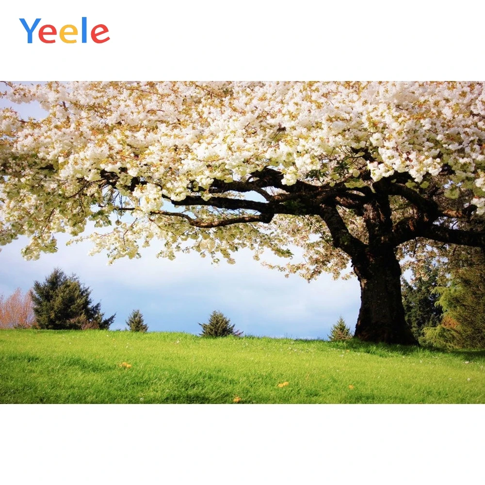 Весенний лес дерево пастбище цветочный пейзаж фон детский Виниловый для