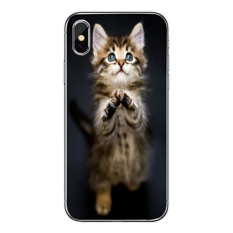 A с милым рисунком кота чехол для iphone 5s 5 s se 4 4s кейс телефона из мягкого ТПУ в виде
