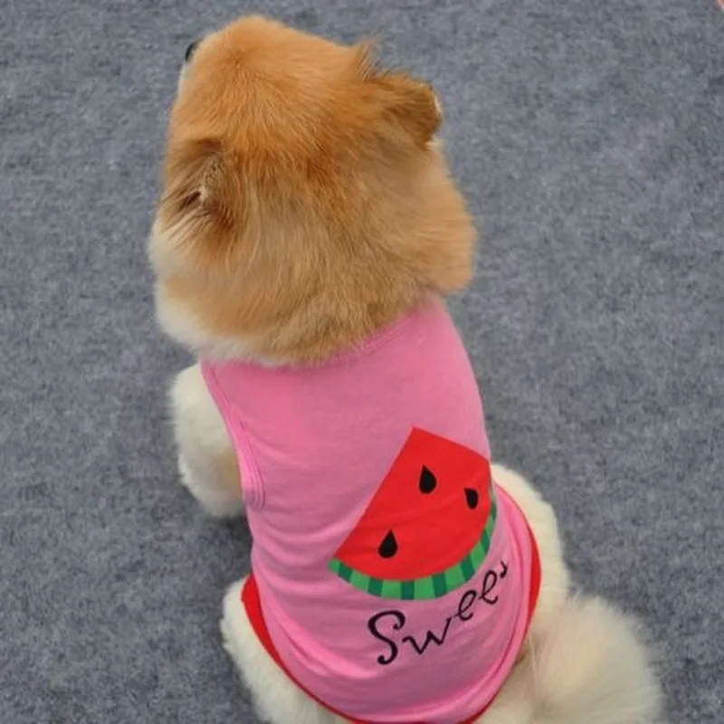 

Watermelon Cartoon Dog Clothes Spring Summer Breathable Cool Vest Thin Two-legged Soft T-shirt for Dogs Pink Girls Ropa Para