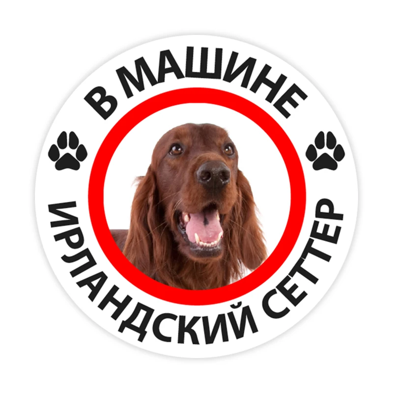 B0280# 10/13/15 cm Irish Setter in the Car Self-adhesive Decal Car Sticker Waterproof Auto Decors on Bumper Rear Window