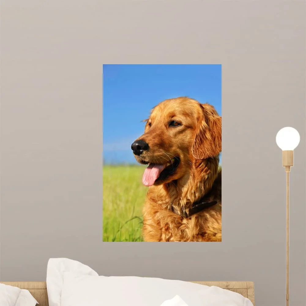 

For Golden Retriever Dog Portrait Peel and Stick Wall Decals (18 in H x 12 in W)