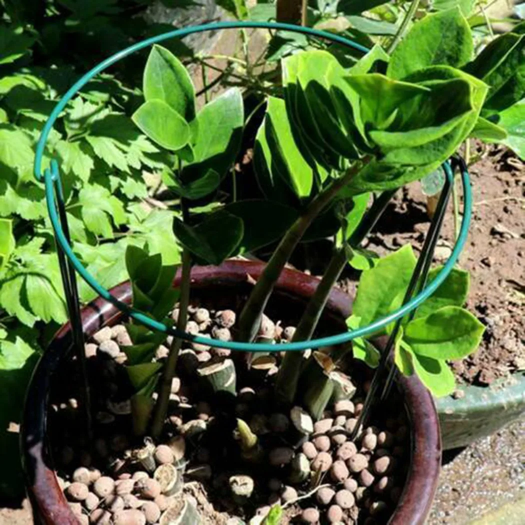

Metal Garden Plant Supports Props Set Vegetables 10pcs Accessory Bow Flowers Green