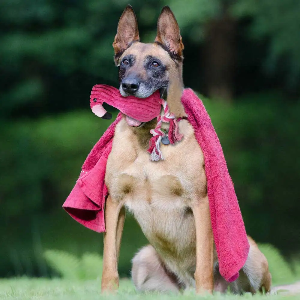 Игрушки для собак пищащие собаки игрушки в форме животных большая не Набивная