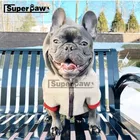 Мода для домашних животных; Куртка для мальчиков; Зимнее пальто теплая одежда с принтом в виде собак для малых и средних собак панель в форме французского бульдога корги Чихуахуа костюм для мопса WHC10