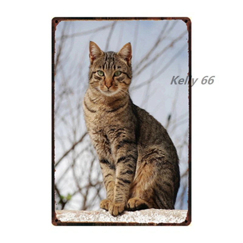 [Kelly66] Домашние животные осторожно кошка табби сиамский котенок Металлический Знак оловянный плакат табличка для домашнего декора настенная живопись 20*30 см размер Dy95 - Цвет: y-3213