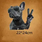 Термонаклейки 22 х24 см с изображением собаки и очков