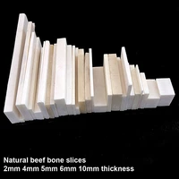 2pcs various sizes natural beef bone slices pieces buffalo leg bones hand polished