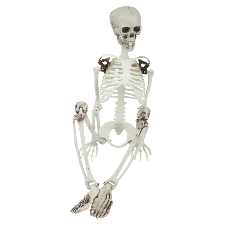Halloween 90CM Skeleton PVC Simulation Human Bone Skull Decoration Props Bar Haunted House Secret Room Party | Дом и сад