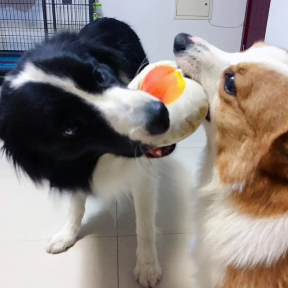 Cute Pet Puppy Chew Toys Dog Squeaky Toy Wolf Stuffed Squeaking Animals Plush Rabbit Honking Training Squirrel Supplies | Дом и сад