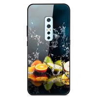 for vivo v17 pro phone case tempered glass case back cover with black silicone bumper series 2