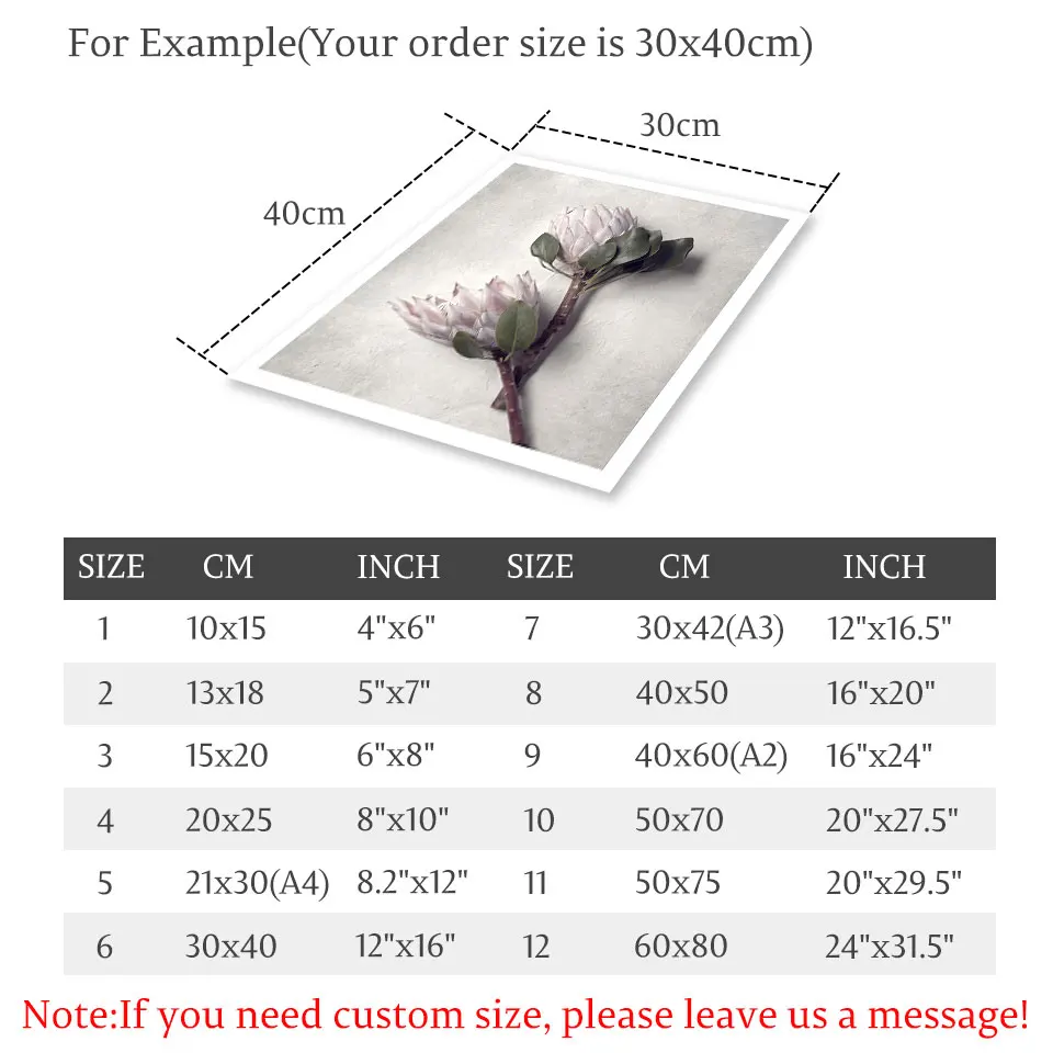 Protea скандинавские цветы плакат фотография холст Картина Настенная