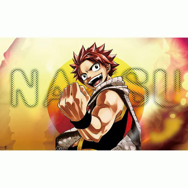 Настенная Картина на холсте мультфильм аниме Сказочный хвост скандинавские