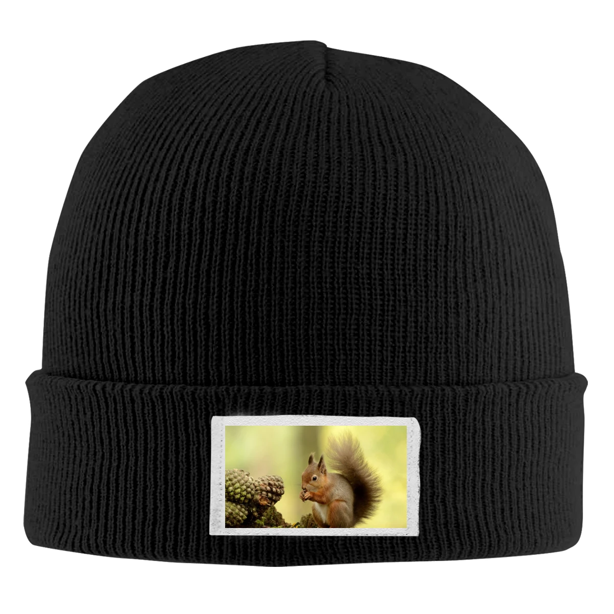 

Зимняя мужская одежда белка женская шапка крутые Лыжные шапки морозные шапки