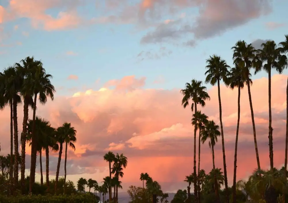 

PALM SPRINGS - Dawn Style Picture Art Film Print Silk Poster Home Wall Decor 24x36inch