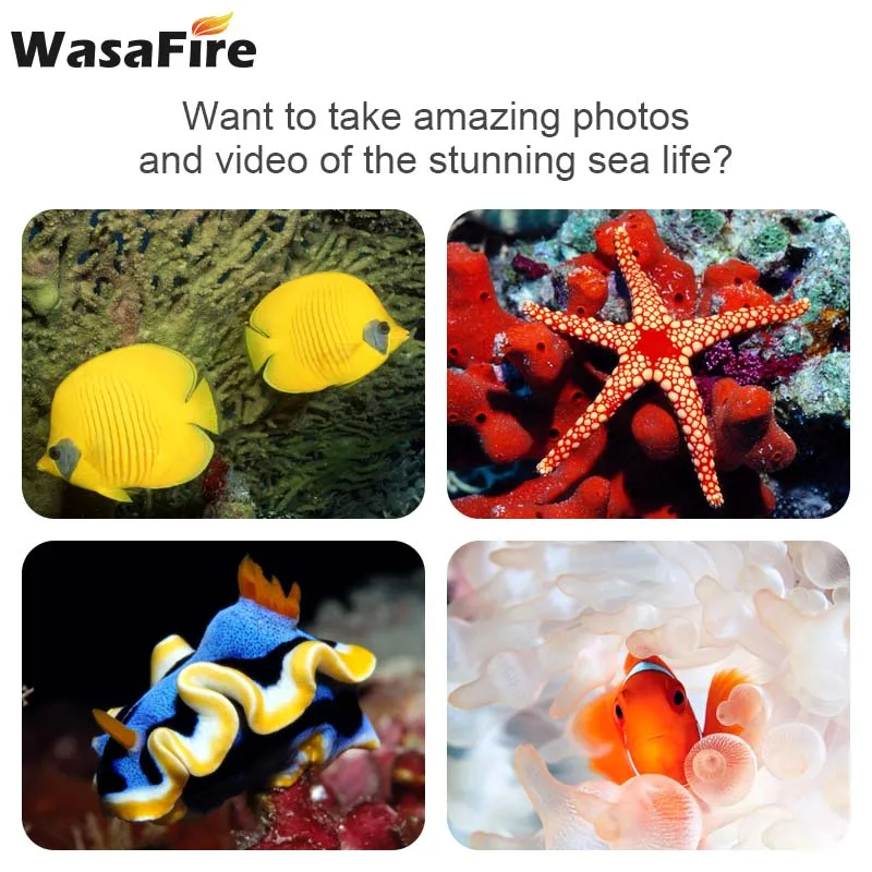 

Waterproof 18650 Dive Torch Lamp XHP50 LED Diving Flashlight Powerful 3 Modes Scuba Lantern for Hunting Diver Swimming