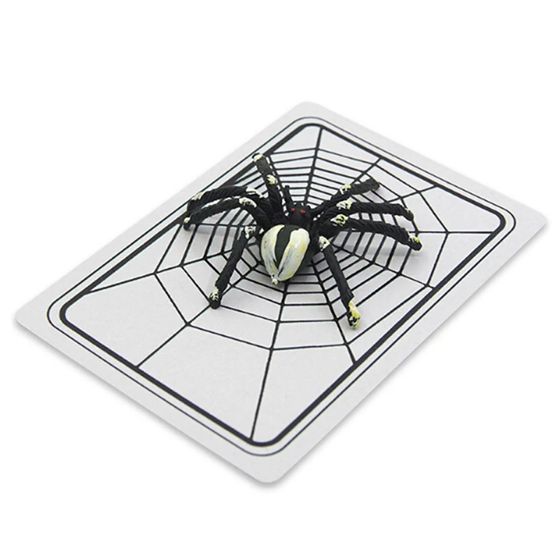 

1 Set Spider And Net Close Up Street Magic Tricks Magician Prop Mentalism High Quality