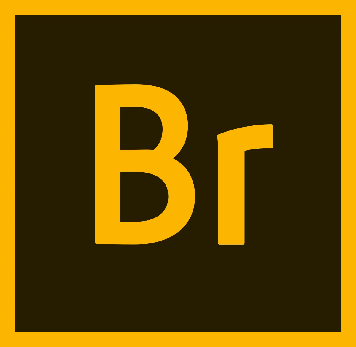 

Bridge Creative Resource Management Solution 2020 tools Win/Mac BooK