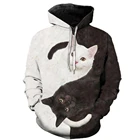 Модный мужской свитер 2021 Harajuku с принтом кота супер Далянь Толстовка для мужчин и женщин повседневный Свободный пуловер с длинным рукавом