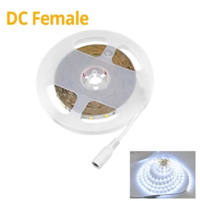 DC Female White 12 В светодиодный светильник 4040 SMD ярче, чем 2835/5050 Светодиодная лампа в шкаф для кухни, спальни, мебели, ночника, украшения дома - Цвет: DC Female White