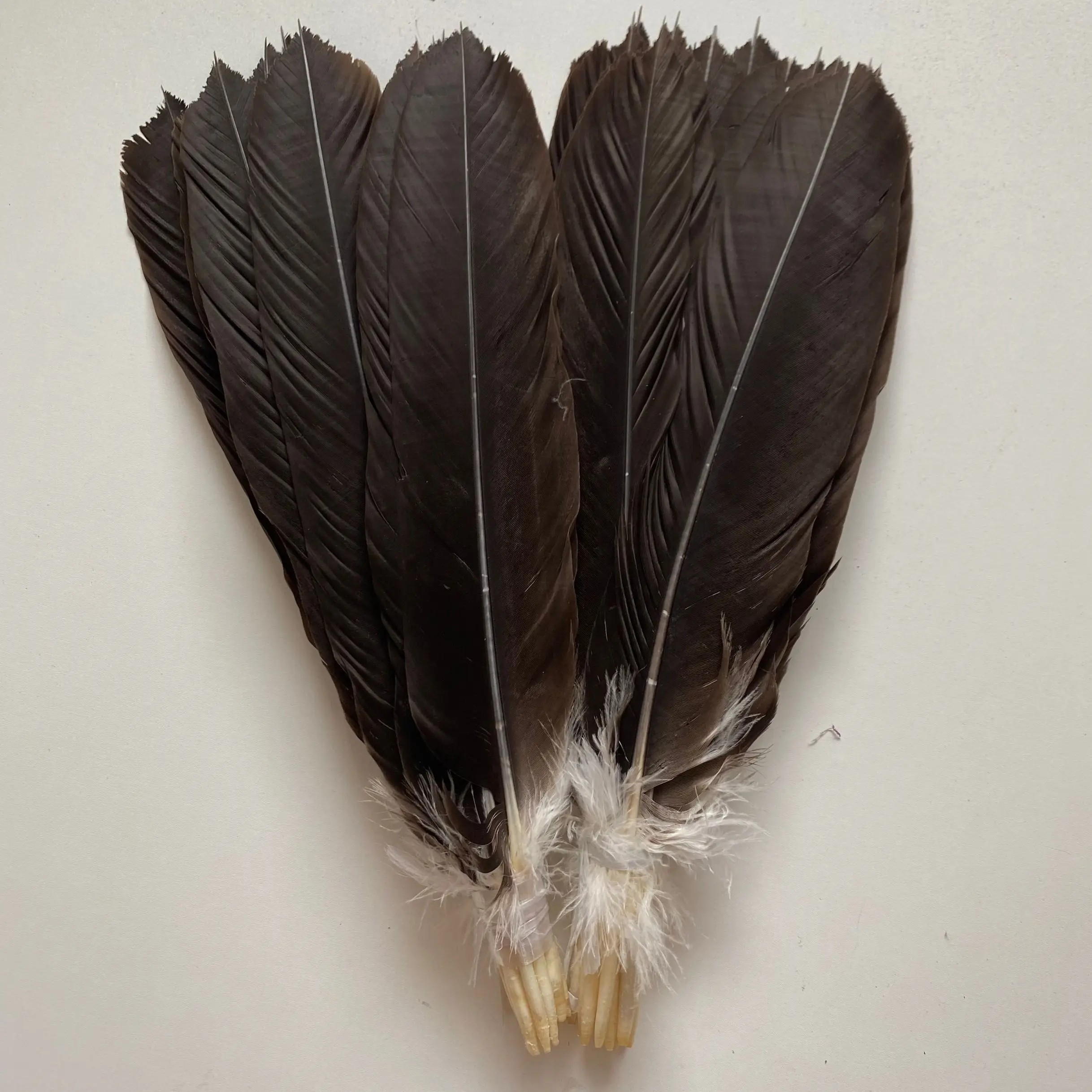 

Wholesale 1 Set 12pcs High Quality Eagle Feathers 40-45cm/16-18inches Home Jewelry Celebration Feathers for Crafts Plume