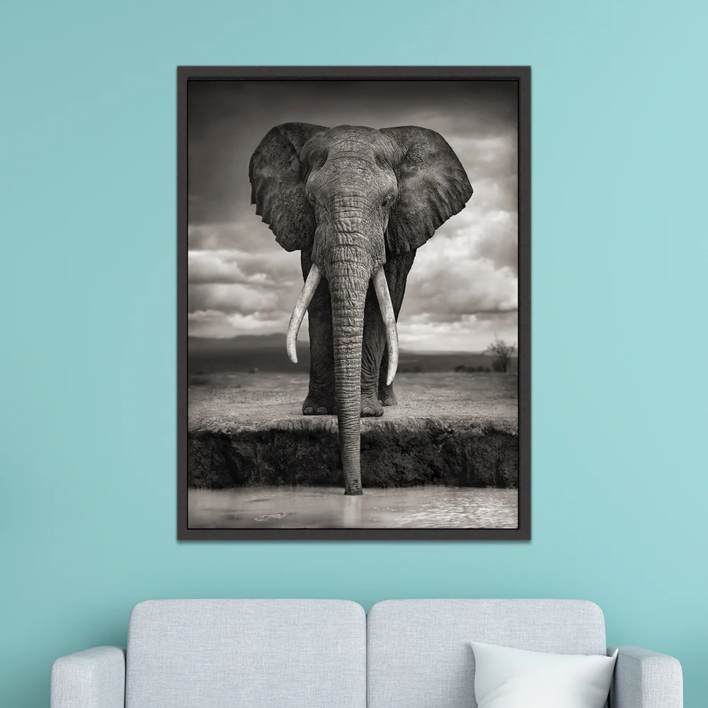 Современный скандинавский Африканский высокий слон черно белый животный