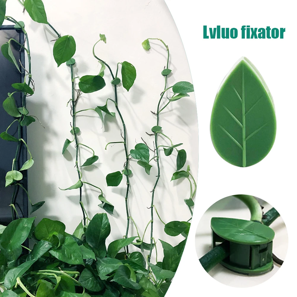 

50/60pcs Green Plant Indoor Finishing Clips Free Nail Vine Traction Fixator Household Plant Climbing Wall Fixation Clips