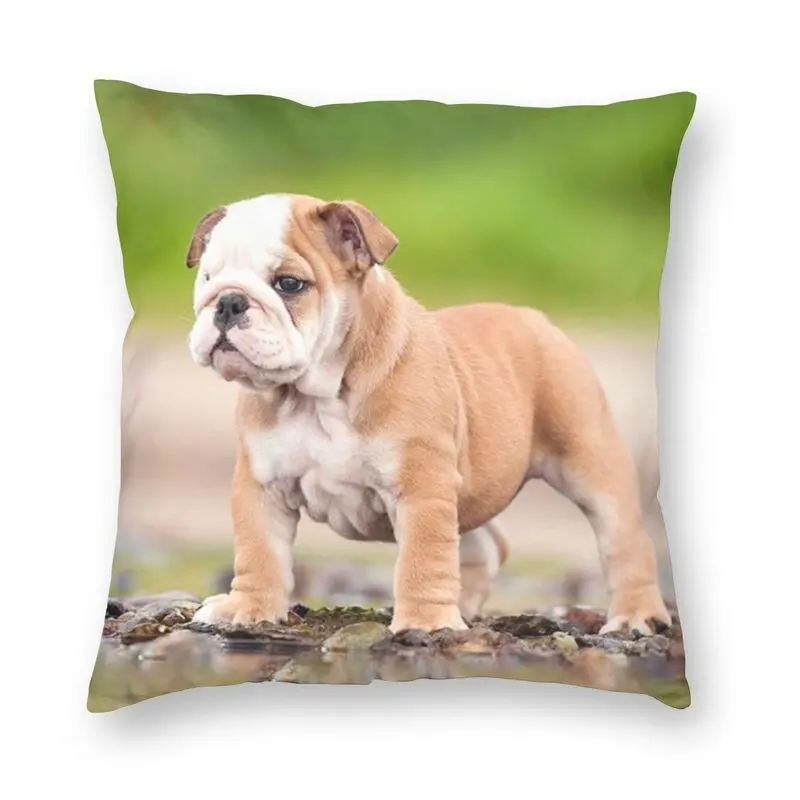 

Яркие французский Подушка с изображением бульдога Чехол дома декоративные 3D двухсторонний печатных Frenchie собаки подушка для дивана
