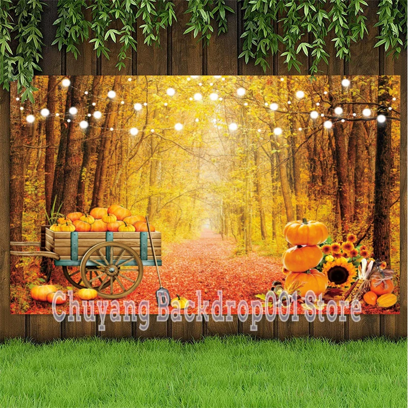 

Fall Autumn Forest Tree Baby Shower Portrait Wedding Photo Background Pumpkin Bumper Harvest Scenic Photography Backdrop Studio