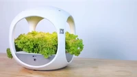 intelligent indoor garden hydroponic growing systems planter smart home