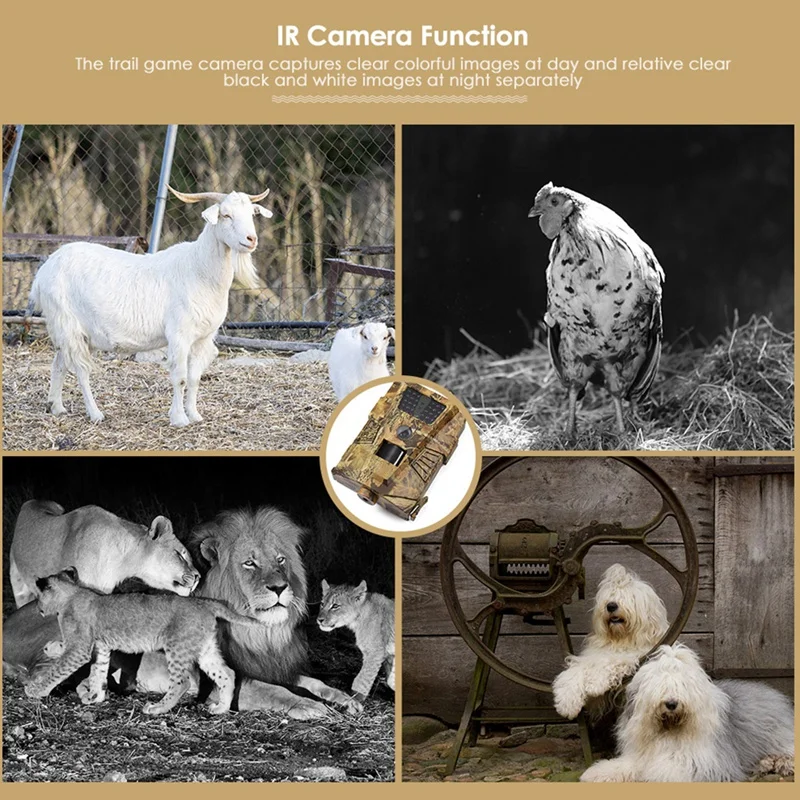

HT-001B Hunting Camera, HD Waterproof Night Vision Infrared Camera for Pasture Plant Observation