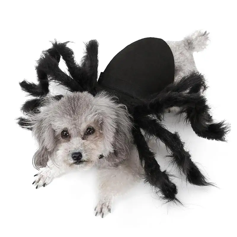 

Halloween Spider Clothes for Pet Dog Cat Spider Costumes Dressing Up Cosplay Pet Clothes Party Pet Dog Halloween Costume Props