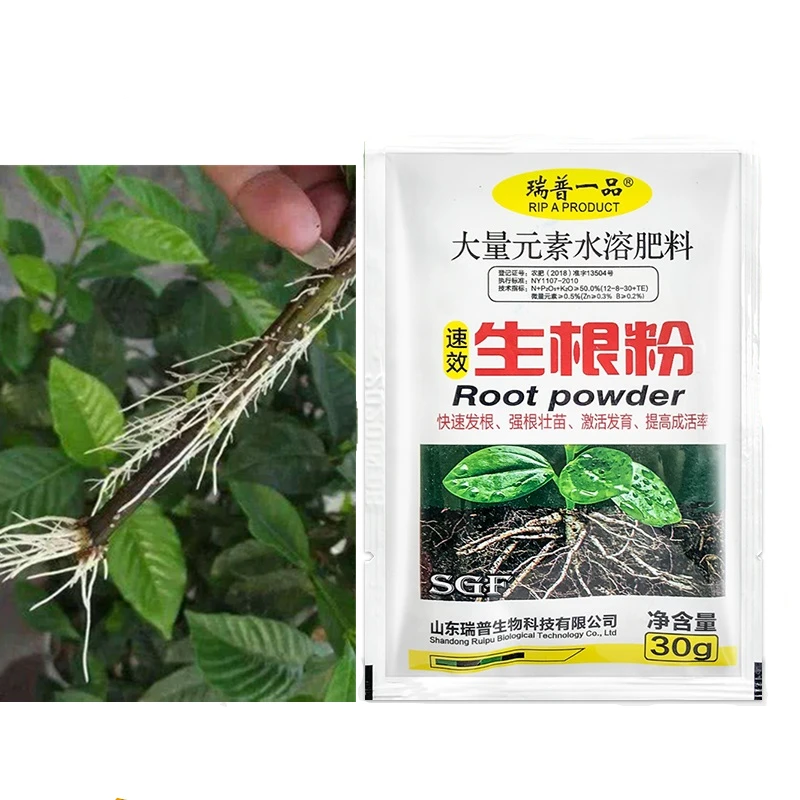 

Rapid rooting powder plant growth regulator for Seedling bonsai tree cutting fungicide rooting hormones foliar fertilizer 30g