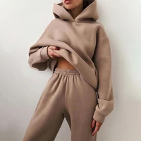 hoodies two piece set women long sleeve solid casual pocket pullover suit spring 2021 elastic sports pants female tracksuit