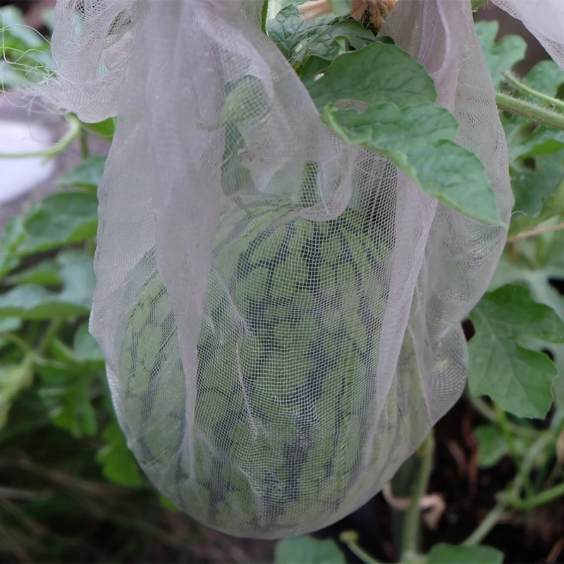 

80Mesh Insect Control Net 1/1.5M Wide Vegetables Plant Covers Net Garden Insect Netting Anti-bird Nets Various Size