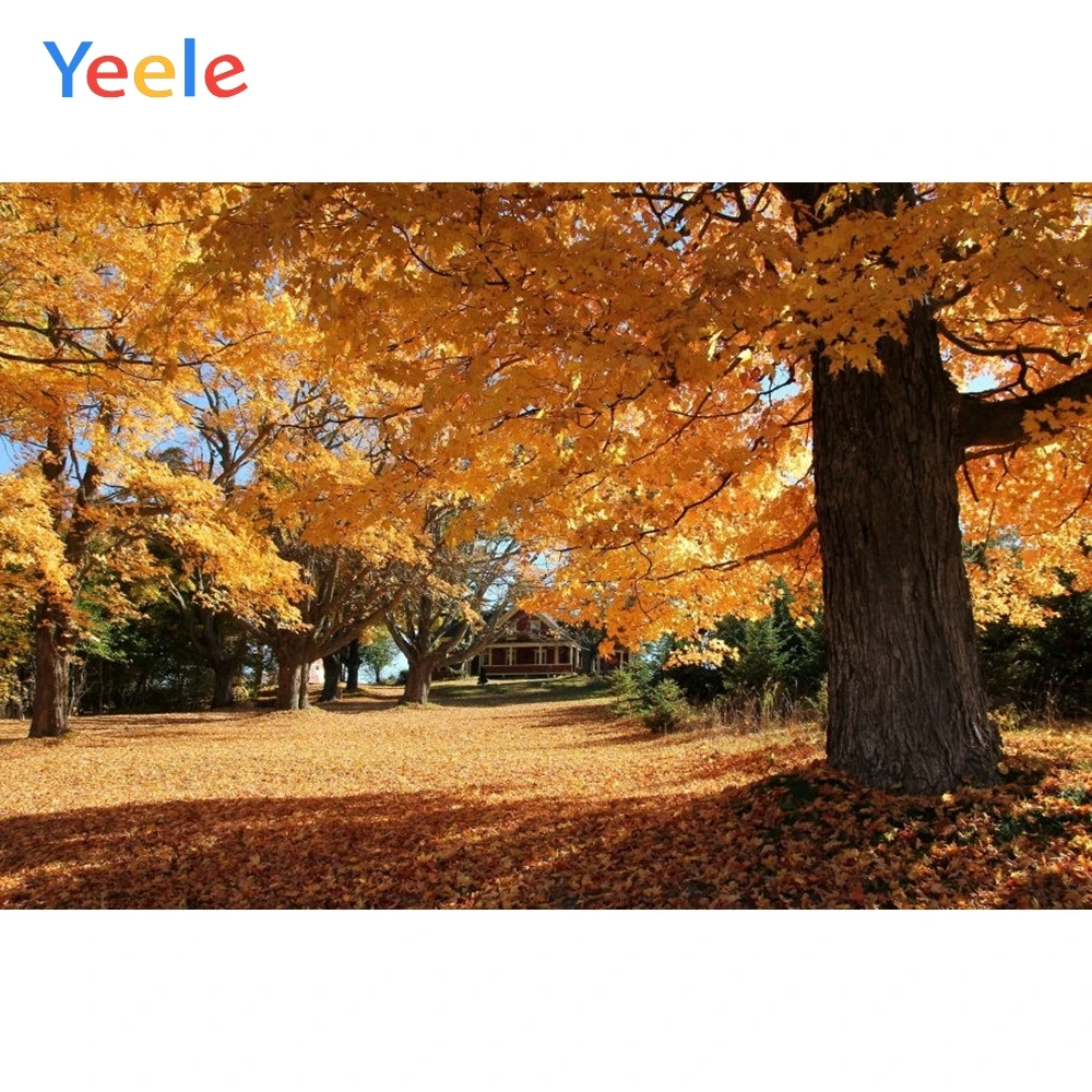 

Yeele