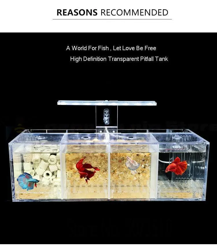 Betta аквариум Гуппи разведение инкубации изолирующая коробка акриловая специальная группа ряд цилиндр живой Рабочий стол экологическое творчество