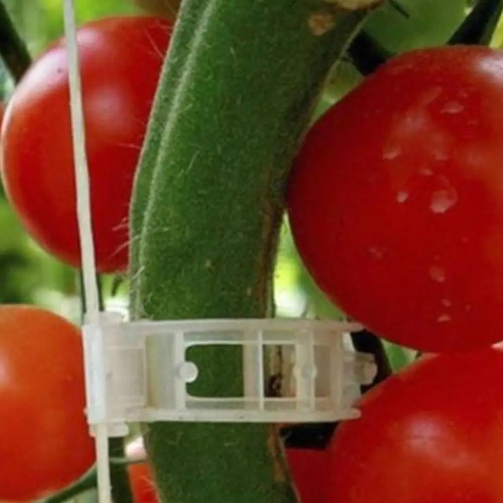 Практичные крепежные зажимы для садоводства лоза поддержка инструменты