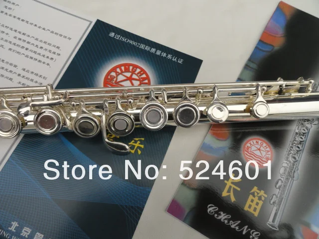 Профессиональная Студенческая Серия 16 отверстий плюс E ключ Сплит обтуратор